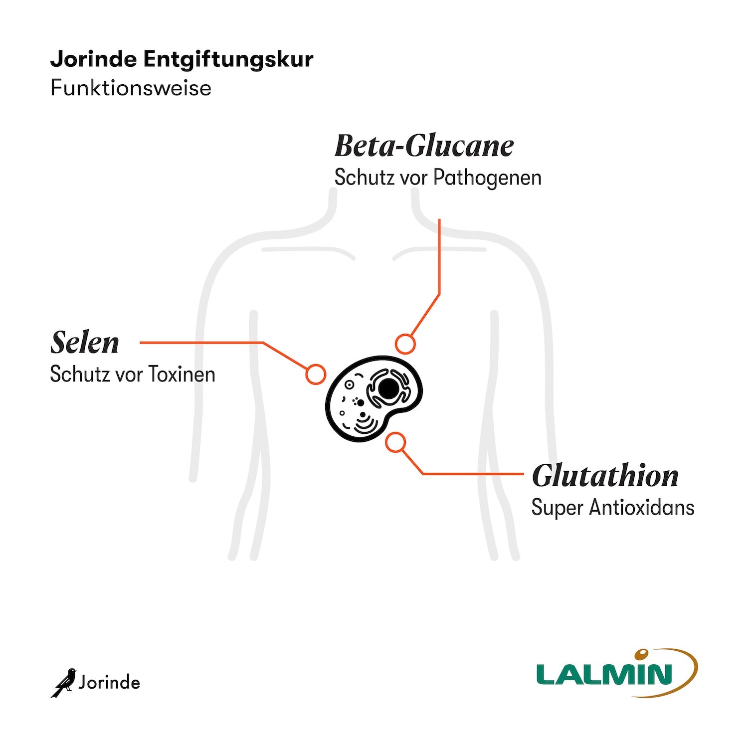 Jorinde Entgiftungskur