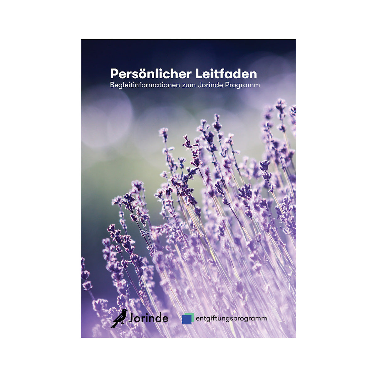 Persönlicher Leitfaden