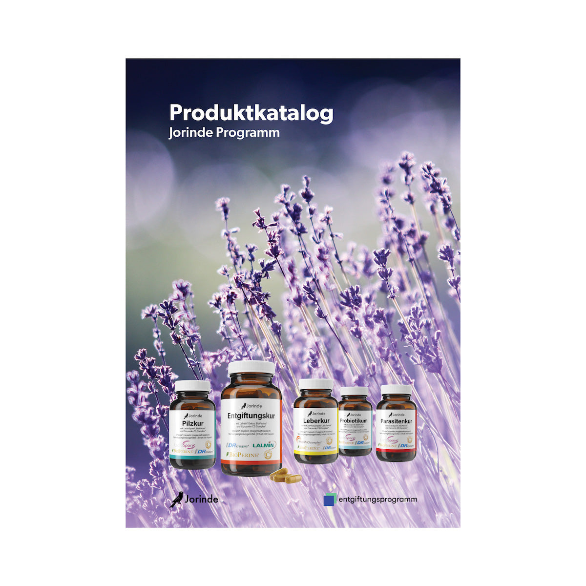 Produktkatalog