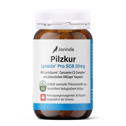 Pilzkur