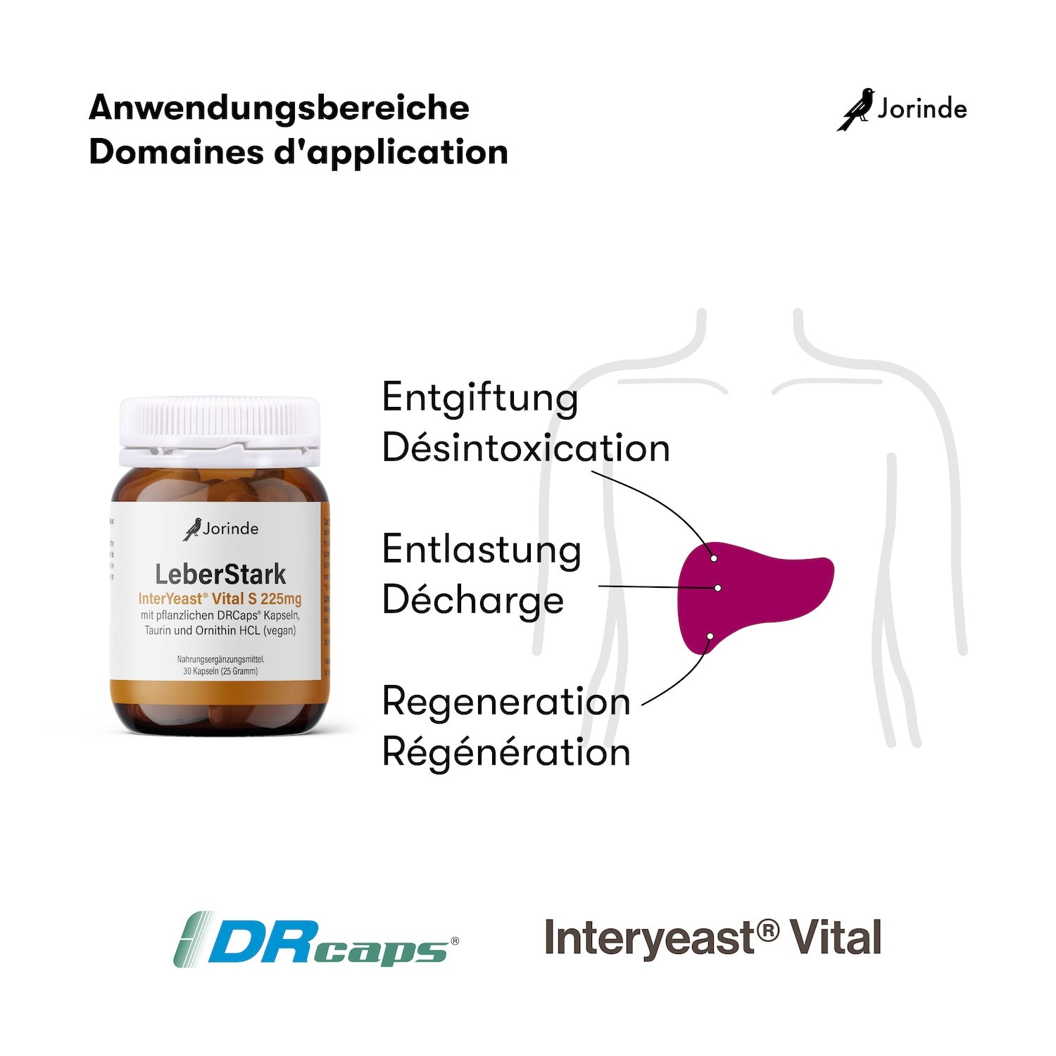 Jorinde LeberStark für die Leber